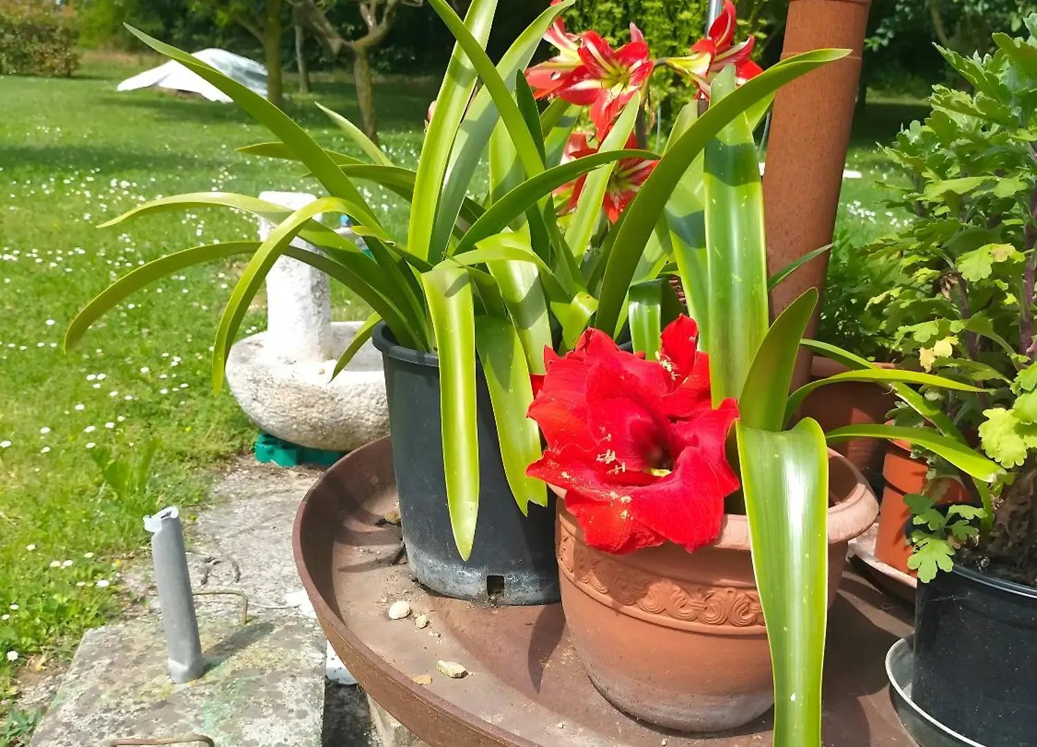 La Scarpina Countryhouse Ponti sul Mincio Dom wakacyjny
